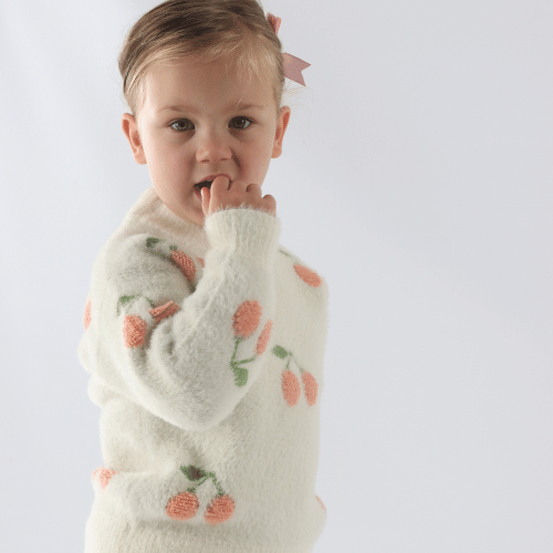 Frosted Cherry Teddy Sweater
