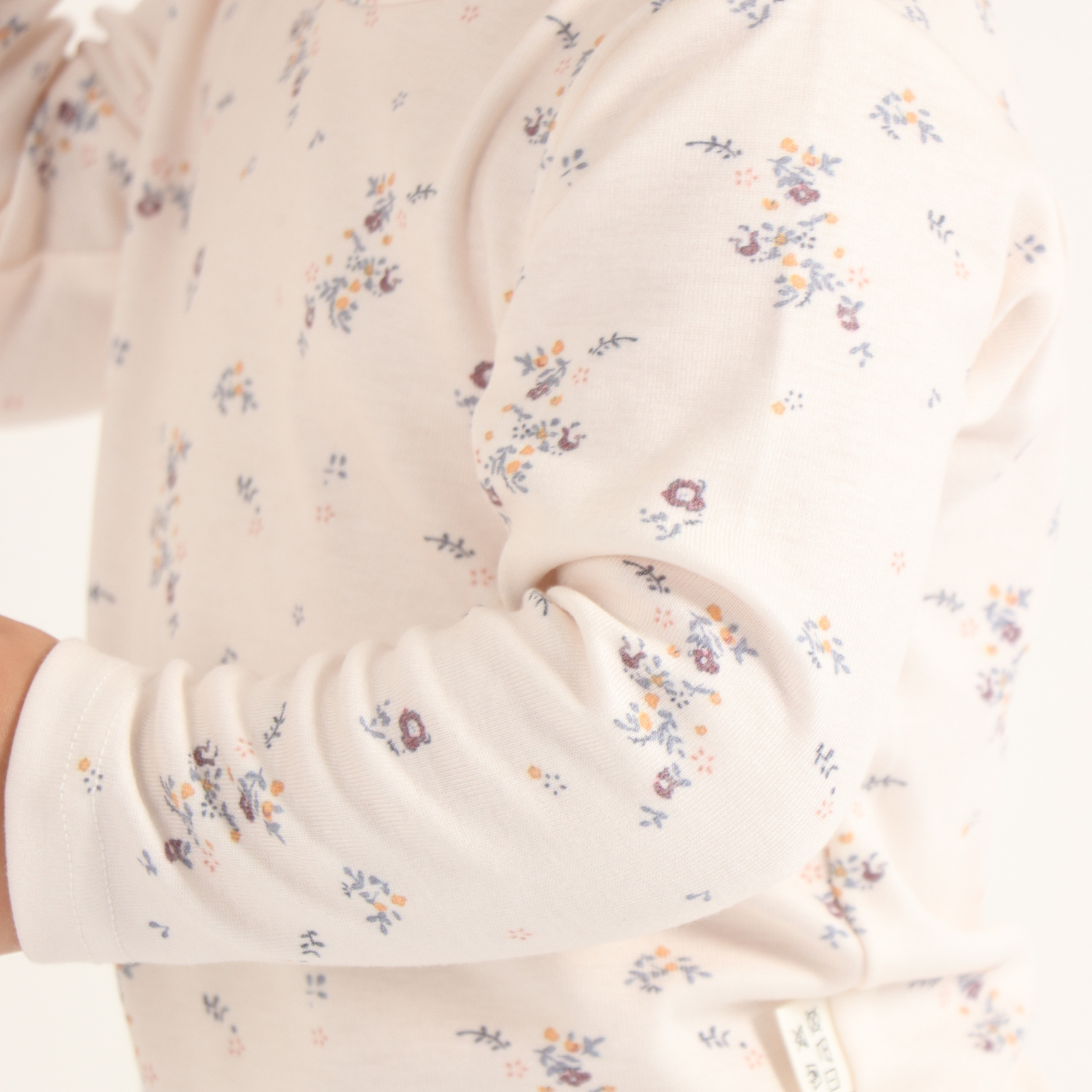 Winter Wildflower Set