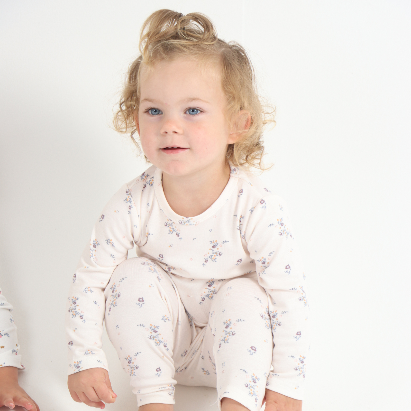 Winter Wildflower Set