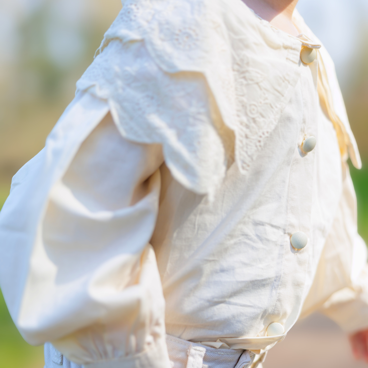 Lace Collar Blouse
