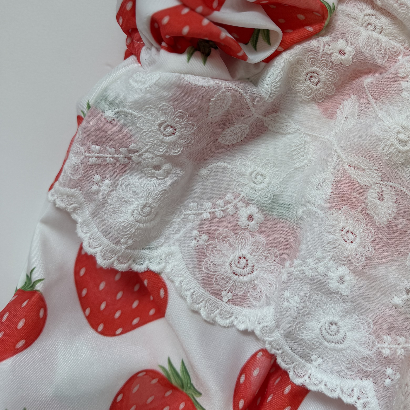 Strawberry Water Swimsuit